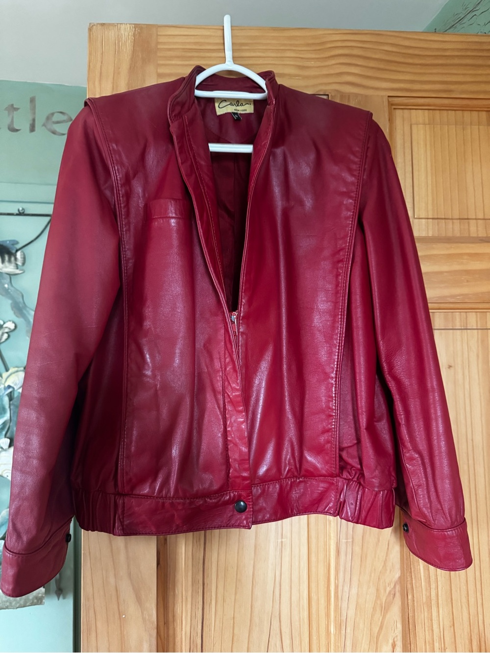Carolee Women's Crimson Leather Zip-Front Jacket